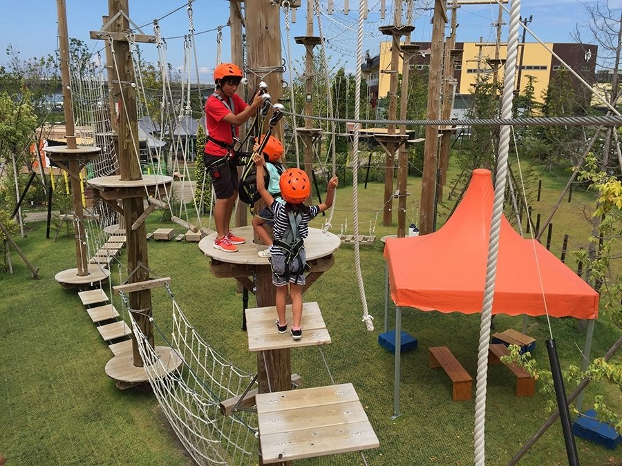 🎢 경이로운 숲 큐리오(원더 포레스트 큐리오) 이미지 1